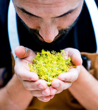 ROB GENTILE ON FOOD, FAMILY & SPIRITUALITY