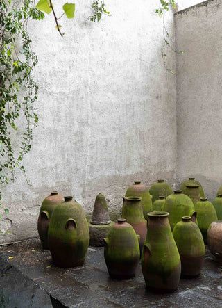UNCOVERING MEXICO CITY