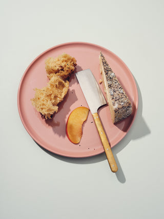 Rose colored ceramic plate with a knife and cheese