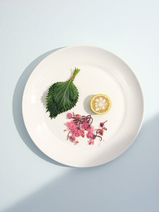 Top view of a large white ceramic dinner plate with a green lead and vibrant bits of food on a light blue background